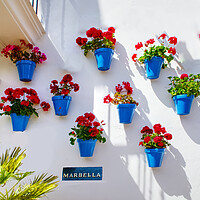 Buy canvas prints of Marbella Geraniums  by Alison Chambers
