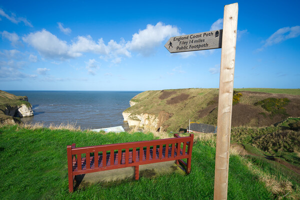 Flamborough North Landing  Picture Board by Alison Chambers