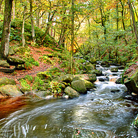 Buy canvas prints of Padley Gorge by Alison Chambers