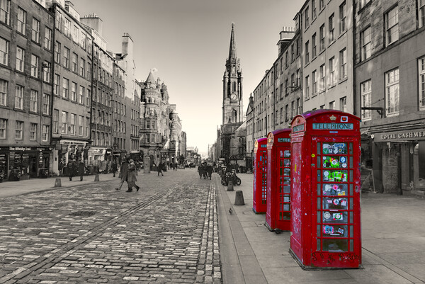 The Royal Mile Edinburgh  Picture Board by Alison Chambers
