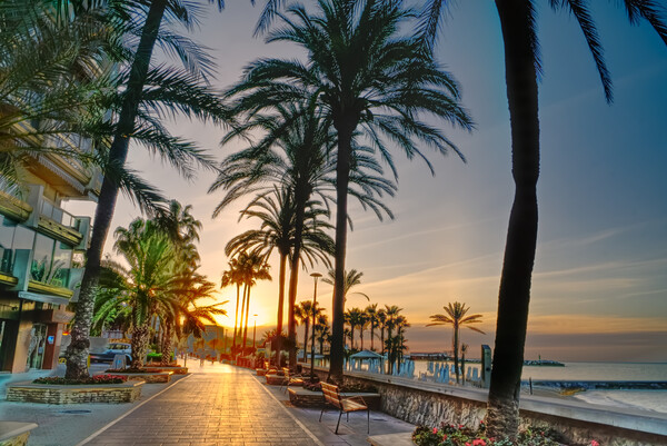 Marbella Promenade Sunrise Picture Board by Alison Chambers