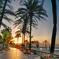 Buy canvas prints of Marbella Promenade Sunrise by Alison Chambers