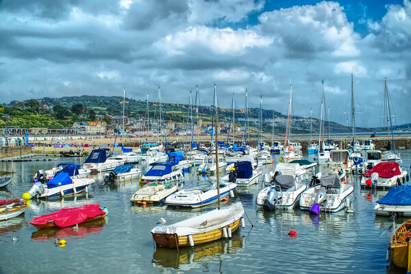Lyme Regis Harbour Picture Board by Alison Chambers