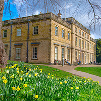 Buy canvas prints of Cannon Hall by Alison Chambers