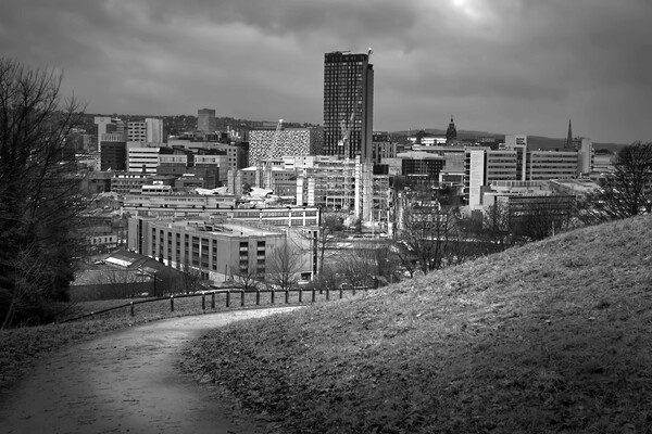 Sheffield Cityscape BW Picture Board by Alison Chambers