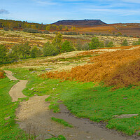 Buy canvas prints of Footpath To Higger Tor by Alison Chambers