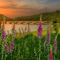 Buy canvas prints of Ladybower Reservoir Sunset by Alison Chambers