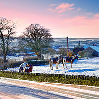 Buy canvas prints of Little Lepton Huddersfield  by Alison Chambers