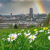 Buy canvas prints of Sheffield Springtime Cityscape by Alison Chambers
