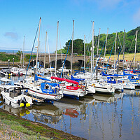 Buy canvas prints of Axmouth Harbour Devon by Alison Chambers