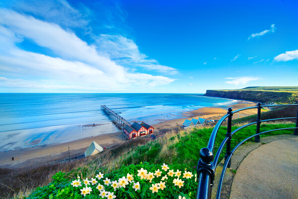 Saltburn by the Sea Picture Board by Alison Chambers