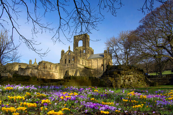 Kirkstall Abbey Leeds Picture Board by Alison Chambers
