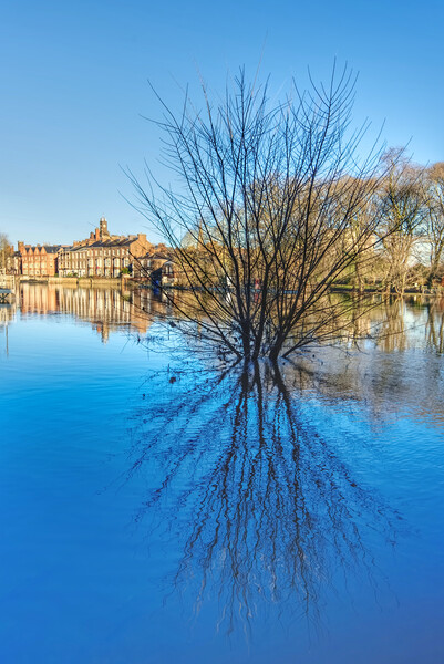 York River Ouse in Spate Picture Board by Alison Chambers
