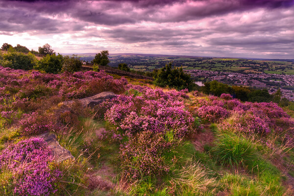 Otley Chevin Picture Board by Alison Chambers