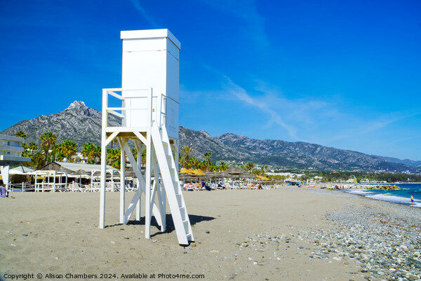 Levante Beach Puerto Banus  Picture Board by Alison Chambers