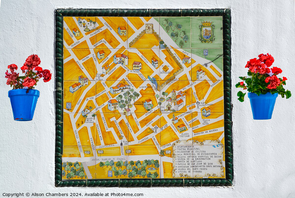Map of Marbella Old Town Picture Board by Alison Chambers