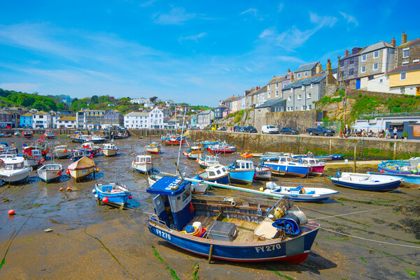 Mevagissey Picture Board by Alison Chambers