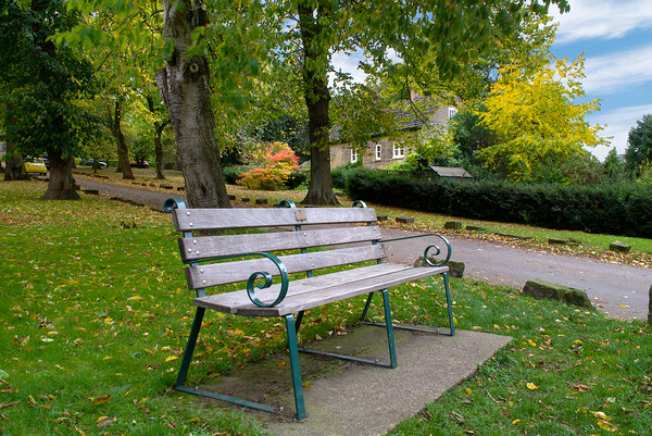 Autumnal Seat in Wentworth Village Picture Board by Alison Chambers