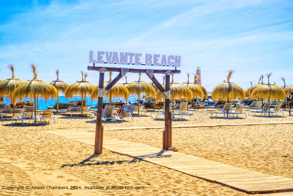 Levante Beach Puerto Banus Picture Board by Alison Chambers