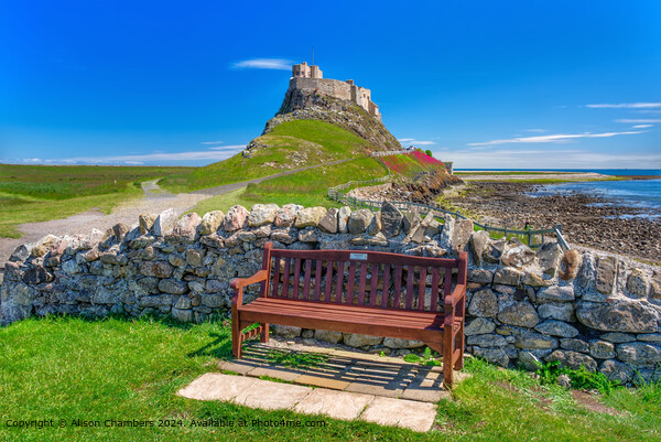 Lindisfarne Castle  Picture Board by Alison Chambers