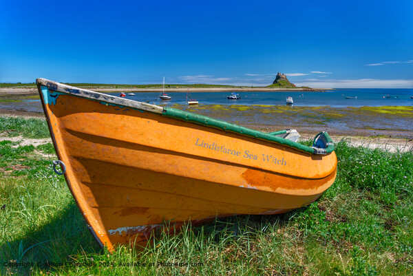 Lindisfarne  Picture Board by Alison Chambers