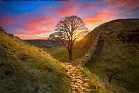 Click to show how this picture will look as a piece of wall art
