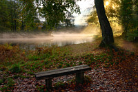 Click to show how this picture will look as a piece of wall art