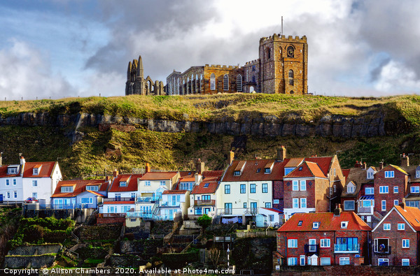 Whitby East Cliff  Picture Board by Alison Chambers