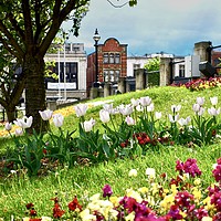 Buy canvas prints of Barnsley Town Centre  by Alison Chambers