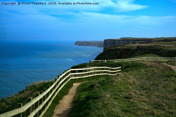 Bempton Cliffs Footpath Picture Board by Alison Chambers