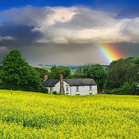 Buy canvas prints of Summer Storm by Alison Chambers