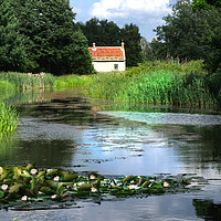 Buy canvas prints of Water Lily Cottage by Alison Chambers