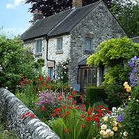Buy canvas prints of Parwich Cottage by Alison Chambers