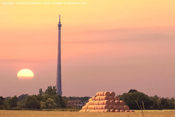 Late Summer At Emley Moor Picture Board by Alison Chambers