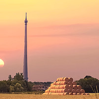 Buy canvas prints of Late Summer At Emley Moor by Alison Chambers