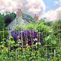 Buy canvas prints of Country Cottage Garden by Alison Chambers