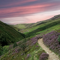 Buy canvas prints of Grindsbrook in Bloom  by Alison Chambers