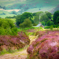 Buy canvas prints of Moorland Cottage Staffordshire  by Alison Chambers