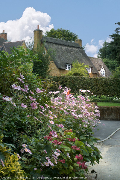 Anemone Cottage Ilmington Picture Board by Alison Chambers