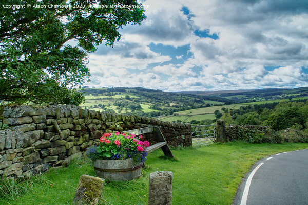 View From High Bradfield Picture Board by Alison Chambers