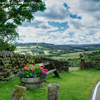 Buy canvas prints of View From High Bradfield by Alison Chambers