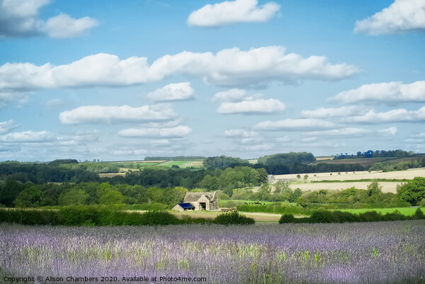 Windrush Valley Cotswolds Picture Board by Alison Chambers