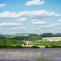 Buy canvas prints of Windrush Valley Cotswolds by Alison Chambers