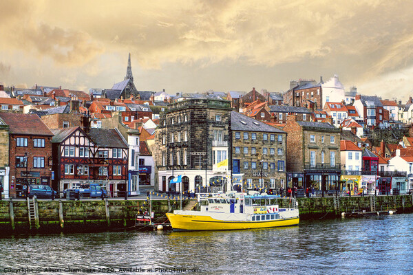 Whitby Harbour Scene Picture Board by Alison Chambers