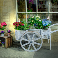 Buy canvas prints of The Florist's Shop by Alison Chambers