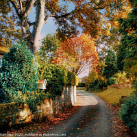 Buy canvas prints of Autumn Lane in Yorkshire  by Alison Chambers
