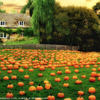Buy canvas prints of The Pumpkin Patch  by Alison Chambers