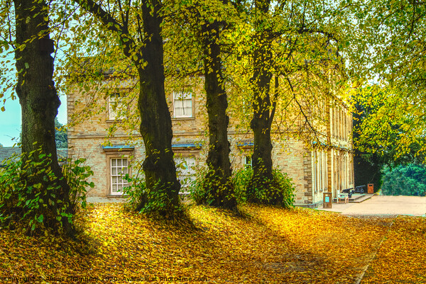 Cannon Hall In The Autumn  Picture Board by Alison Chambers