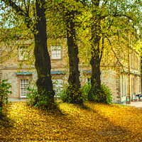 Buy canvas prints of Cannon Hall In The Autumn  by Alison Chambers