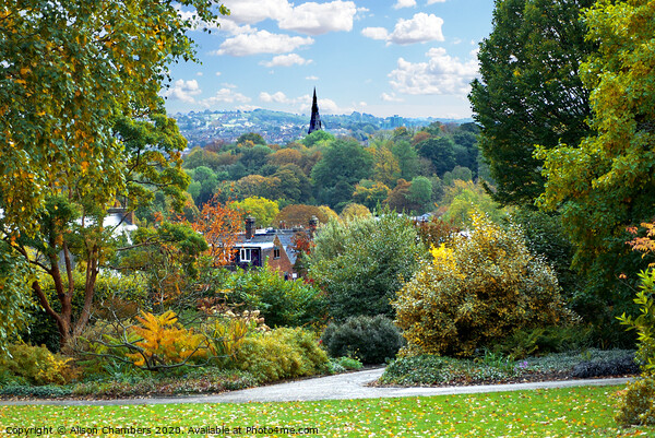  Autumn Bliss in Sheffield Botanical Gardens  Picture Board by Alison Chambers